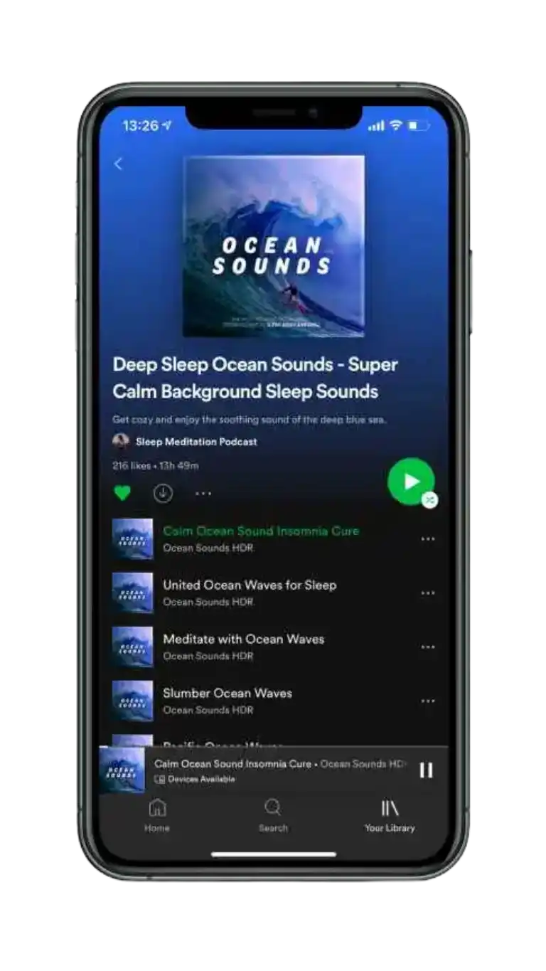 Spotify Download Using Top Store 7